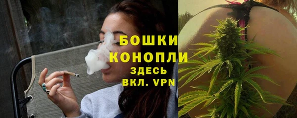 стаф Волосово