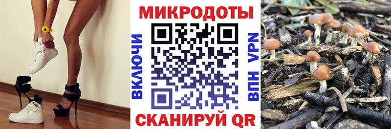продажа наркотиков Истра Галлюциногенные грибы GOLDEN TEACHER