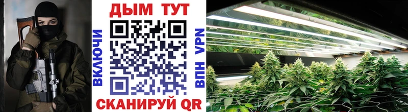 Каннабис Amnesia  Истра 